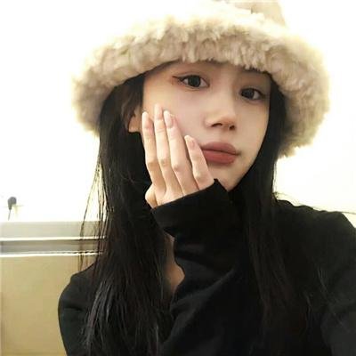高速路上一只猫
