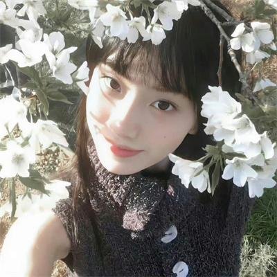 青春紫罗兰